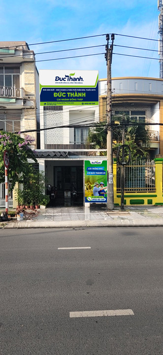 Chi nhánh Đồng Tháp