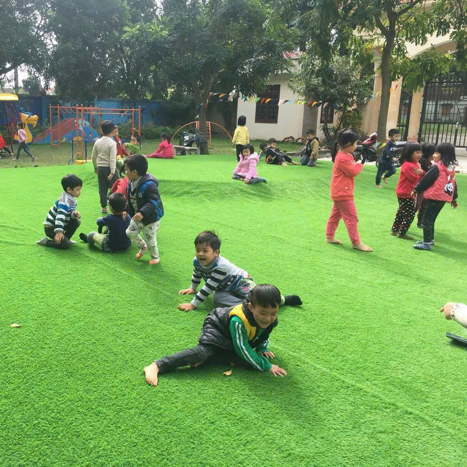 Cỏ nhân tạo sân trường