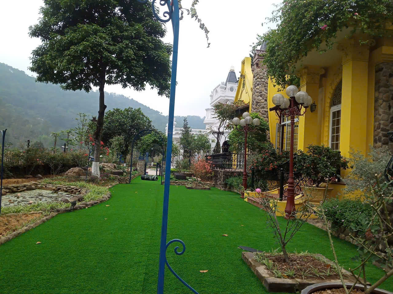 Cỏ nhân tạo sân vườn