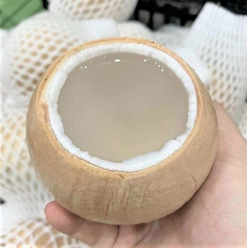 Dừa