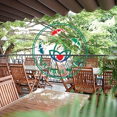 Coffee và cơm văn phòng Aqua koi