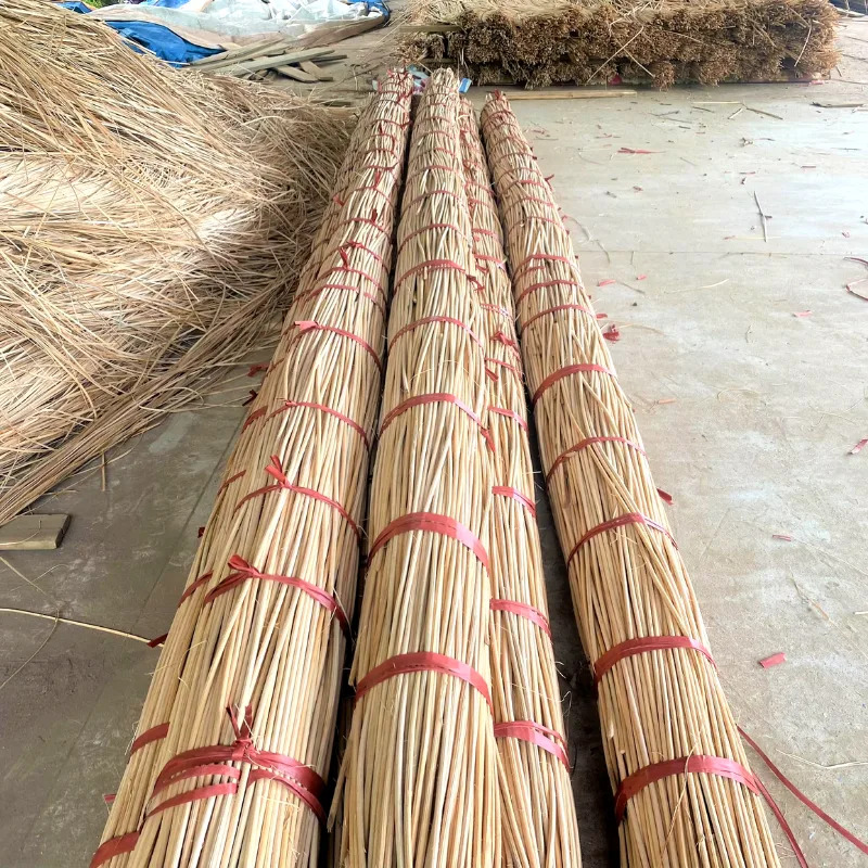 Cọng mây tự nhiên