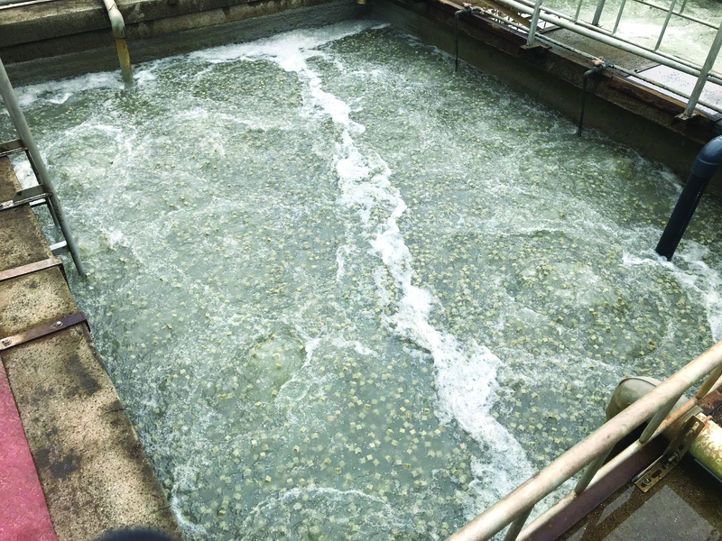Công nghệ giá thể MBBR