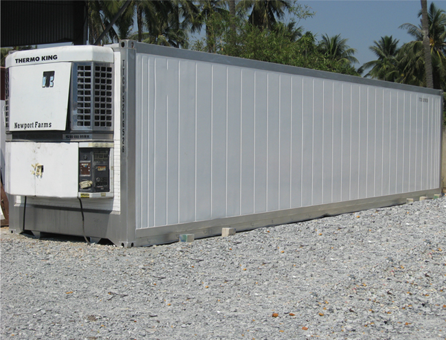 Container lạnh 45-feet