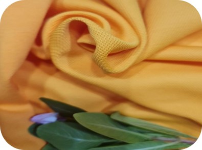 Vải Cotton Back