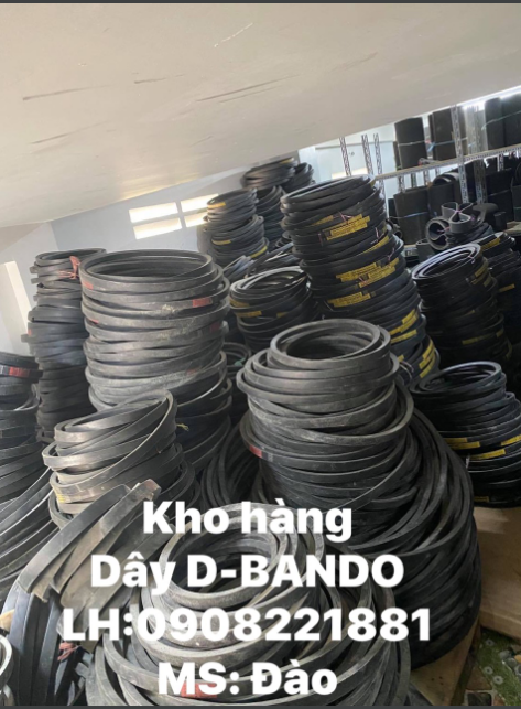 Dây D Bando