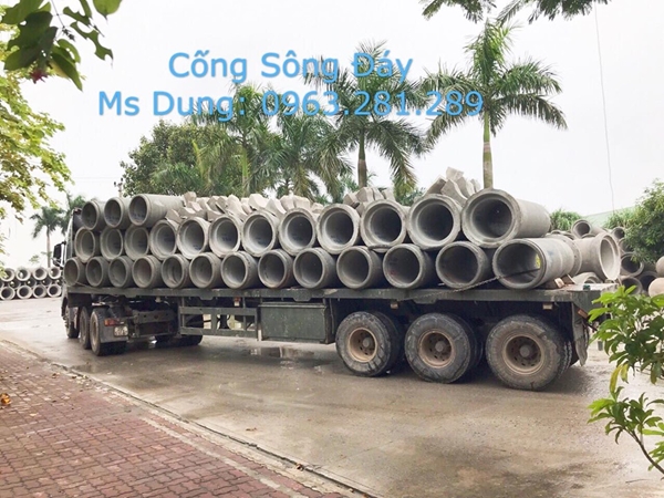 Cống tròn D300