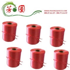 Dây đài loan