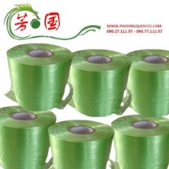 Dây đài loan