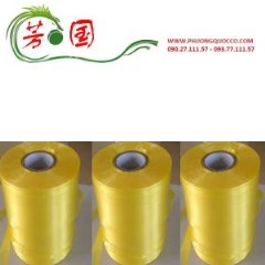 Dây đài loan