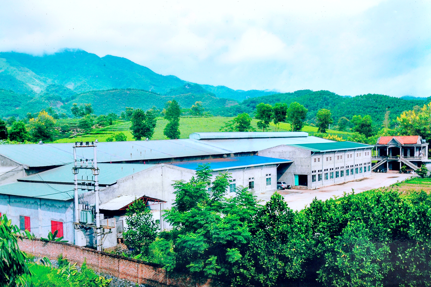 Hình ảnh dẫn tour