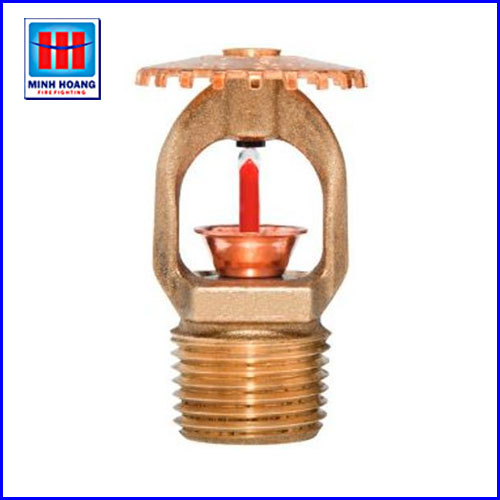 Đầu phun Sprinkler Tyco hướng lên DN15