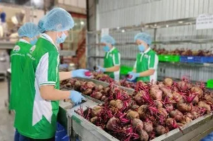 Dây chuyền sản xuất
