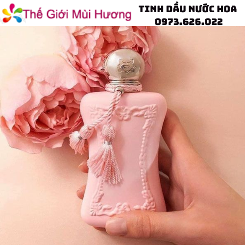 资质或荣誉图片