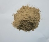 Diatomite bột