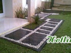 Dịch vụ chăm sóc cây xanh