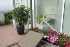 Dịch vụ chăm sóc cây xanh