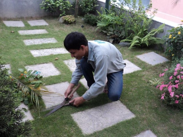 Dịch vụ chăm sóc cảnh quan