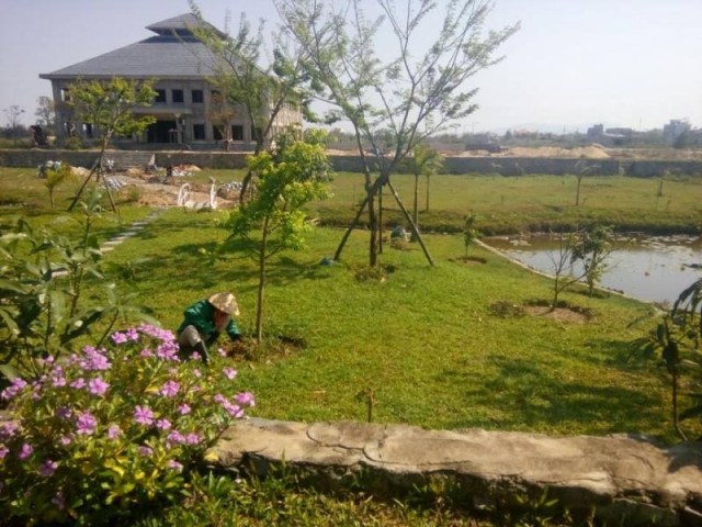 Dịch vụ chăm sóc cảnh quan