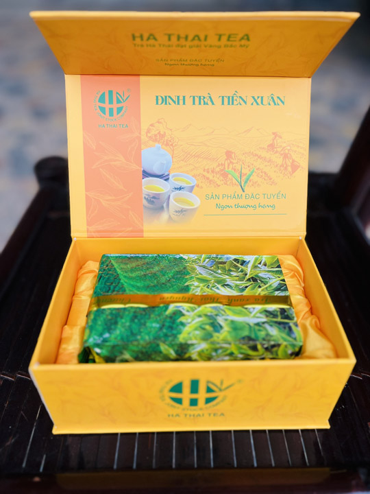 Đinh trà Tiền Xuân