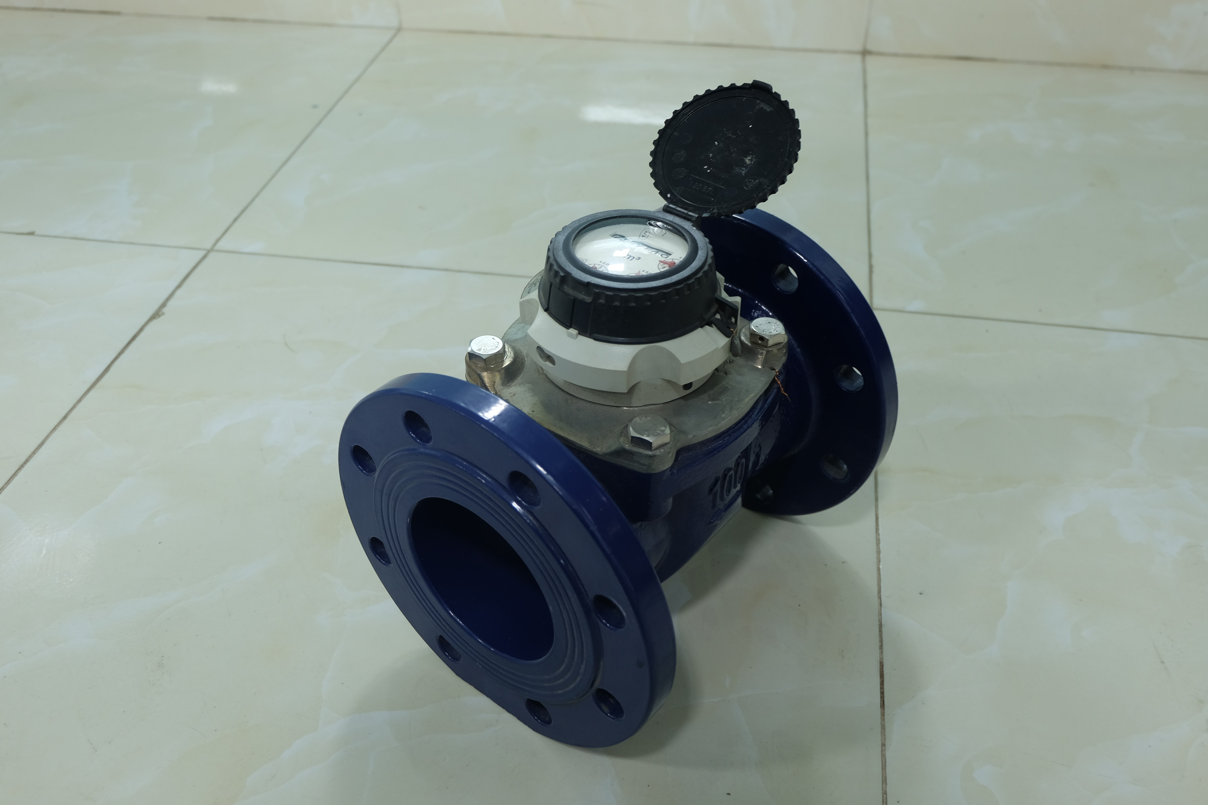 Đồng hồ nước Sensus DN100