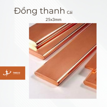 Đồng thanh cái 25x3mm