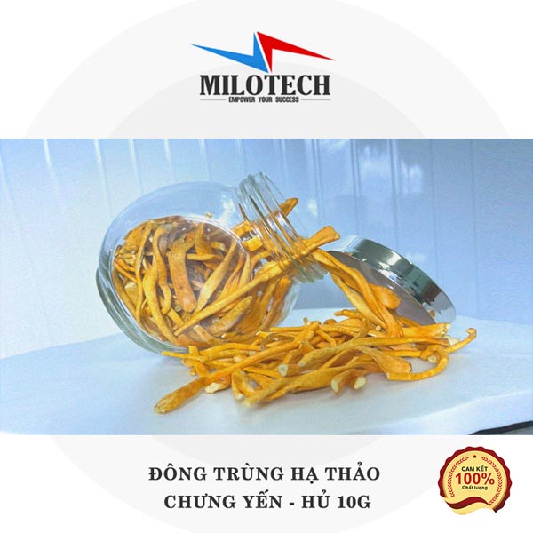 Đông trùng hạ thảo chưng yến hũ 10g