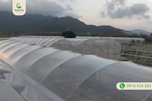 Dự án màng nhà kính