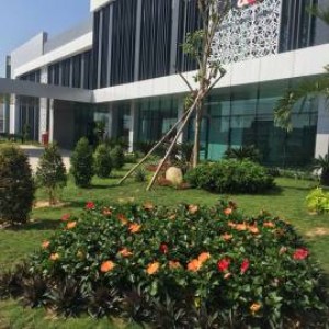 Dự án nhà máy A&E