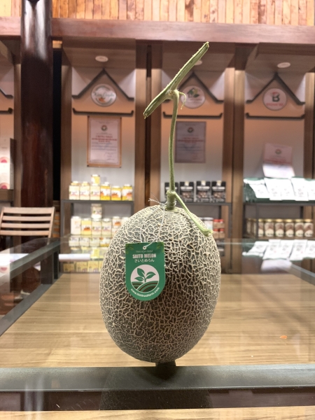 Dưa lưới Saito