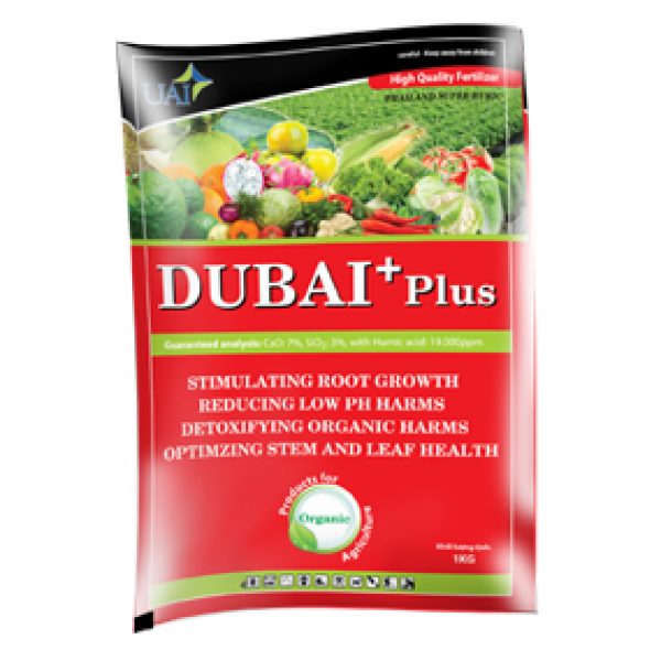 Dubai Plus