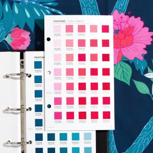 Pantone FHIC300A