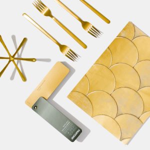 Pantone FHI Metallic FHIP310N