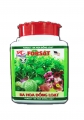 FORSAT ra hoa đồng loạt