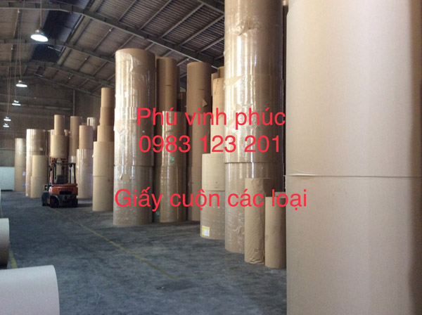 Giấy cuộn nguyên liệu