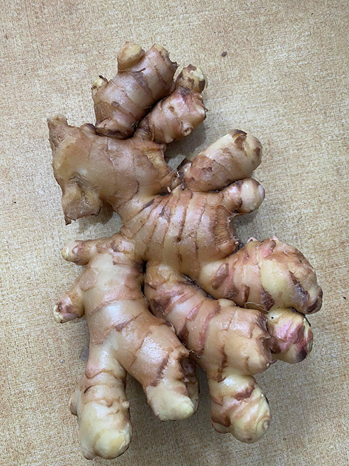 Gừng