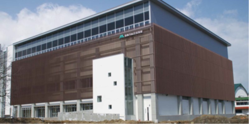 Gỗ nhựa WPC