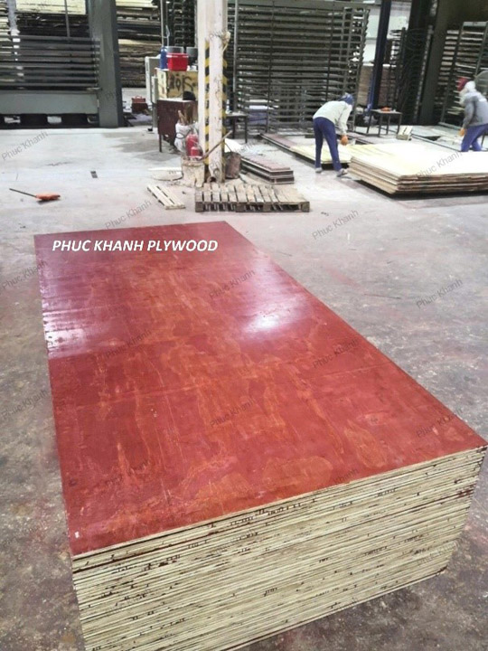 Gỗ coppha phủ keo