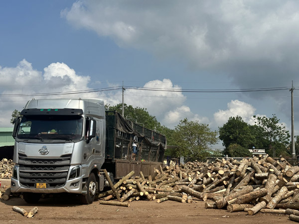 Gỗ nguyên liệu FSC