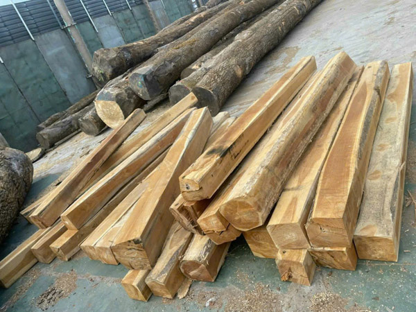 Gỗ nguyên liệu FSC