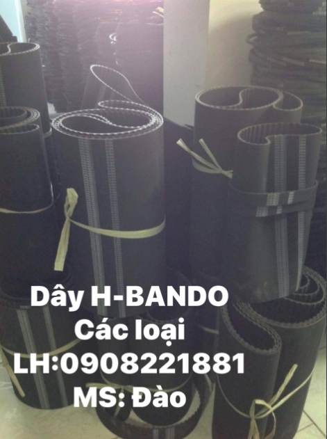 Dây H Bando