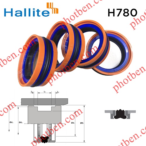 Phớt piston H780