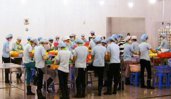 Hình ảnh nhà xưởng công ty Kaida