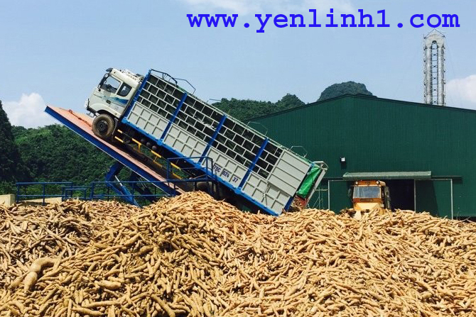 Hệ thống thủy lực nâng xe ô tô