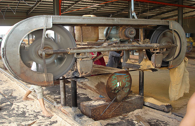 Hệ thống cưa xẻ