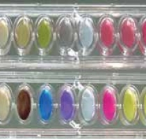 HiBacillus Identification Kit