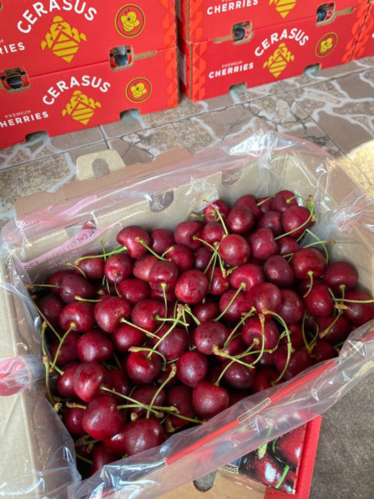 Cherry Chile