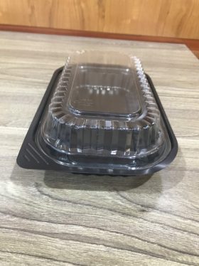 Hộp nhựa có nắp dùng 1 lần