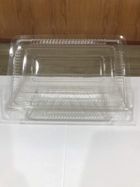Hộp nhựa gấp dùng 1 lần