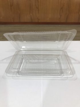 Hộp nhựa gấp dùng 1 lần